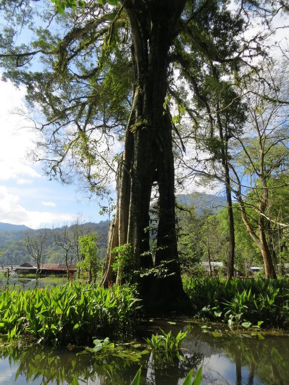 Terrasse Du Lac Munduk Buitenkant foto